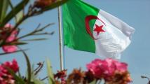 الجزائر تدين تنفيذ الاحتلال عمليات عسكرية في رفح