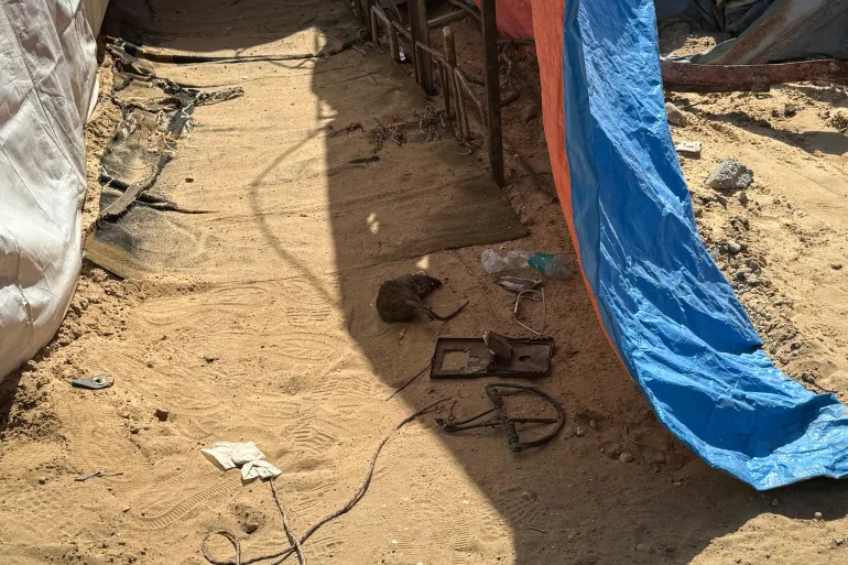 أمراض وطفيليات تنتشر وسط دمار غزة الواسع