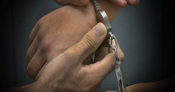 النبطية: توقيف مشتبه وضبط 96 قطعة عاج مسروقة