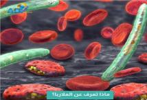 فيديو: ماذا تعرف عن الملاربا؟(1د 12ث)