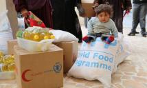 تقرير أممي يحذر من انعدام الغذاء في سورية