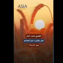 فيديو: القمح تحت النار.. هل يقترب خبز العالم من الأزمة؟