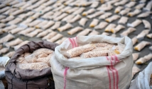  عملية سورية-عراقية مشتركة على الحدود