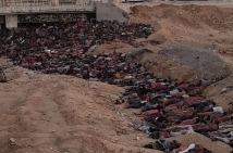 ماكينتوش يكشف جرائم الاحتلال في مواقع الإغاثة