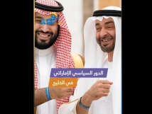فيديو: الدور السياسي الإماراتي في الخليج