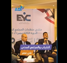 فيديو: الشباب والمجتمع المدني في مصر
