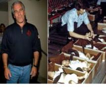 أطفال تركيا في الصناديق: الحقيقة خلف المزاعم