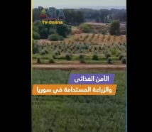 فيديو: الأمن الغذائي والزراعة المستدامة في سوريا