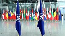كتب حسن نافعة: هل تحول "الناتو" عقبةً في طريق السلام؟