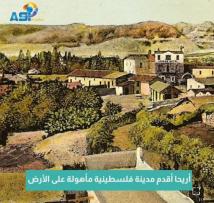 فيديو: أريحا أقدم مدينة فلسطينية مأهولة على الأرض(1د)