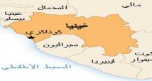 هل يفتح دستور غينيا الجديد باب الحكم المطول؟