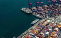 مرفأ بيروت يشهد إجراءات استثنائية فحص وتلقيح الأبقار