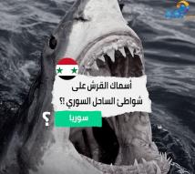 فيديو: أسماك القرش على شواطئ الساحل السوري !؟(1د 40ث)