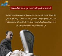 فيديو: الدجاج البرازيلي يثير الجدل في الأسواق المصرية(48ث)