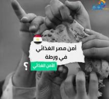 فيديو: أمن مصر الغذائي في ورطة(1د )