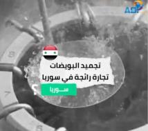 فيديو: تجميد البويضات.. تجارة رائجة في سوريا(1د 59ث)