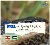 فيديو: إسرائيل تطلق اسم الثعبان الدرزي على احد الأفاعي(1د 35ث)