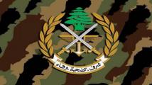 الجيش: ضبط معامل للمخدرات وكمية منها في منطقة اليمونة