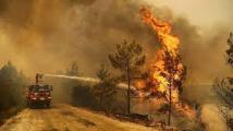 لليوم الثالث.. تركيا تكافح حرائق الغابات 