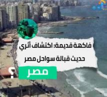 فيديو:فاكهة قديمة.. اكتشاف اثري قبالة سواحل مصر(1د 50ث)