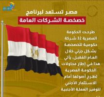 فيديو: مصر تستعد لبرنامج خصخصة الشركات العامة(42ث)