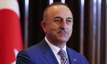 وزير الخارجية التركي التقى نظيره المصري